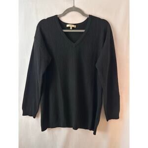 Lark & Ro 100% Cashmere Sweater V-Neck Soft Rib Knit Solid Black Minimalist XL